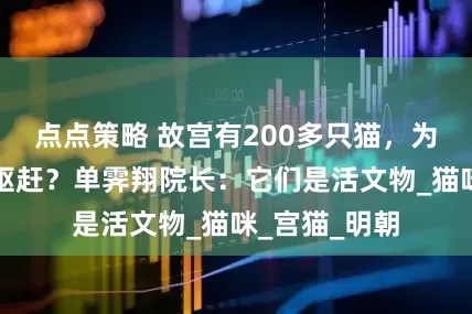 点点策略 故宫有200多只猫，为何从未有人驱赶？单霁翔院长：它们是活文物_猫咪_宫猫_明朝