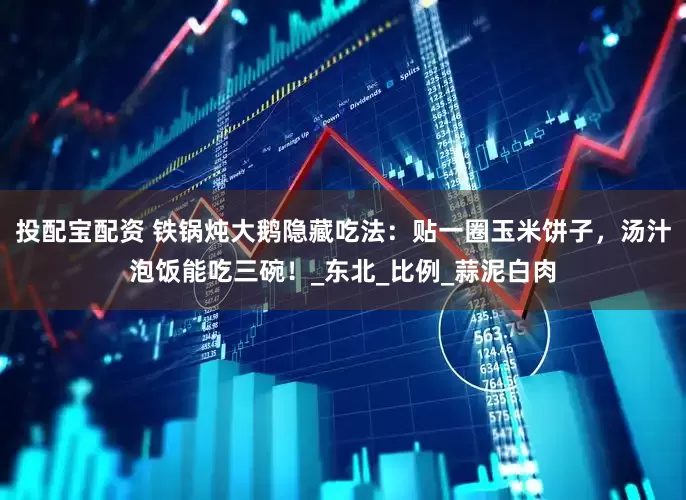 投配宝配资 铁锅炖大鹅隐藏吃法：贴一圈玉米饼子，汤汁泡饭能吃三碗！_东北_比例_蒜泥白肉