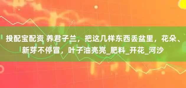 投配宝配资 养君子兰，把这几样东西丢盆里，花朵、新芽不停冒，叶子油亮亮_肥料_开花_河沙