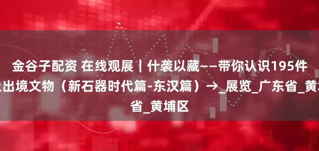 金谷子配资 在线观展｜什袭以藏——带你认识195件禁止出境文物（新石器时代篇-东汉篇）→_展览_广东省_黄埔区